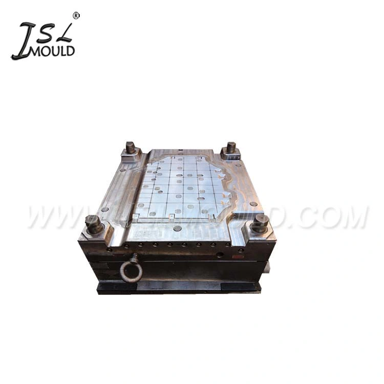 Plastic Injection Auto Engine Under Guard Plate Mould