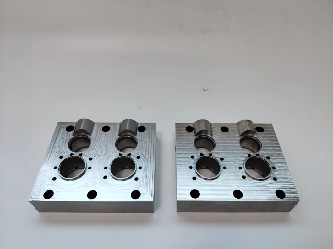 Wear Resistance Mold Core Plate with Polished Inserts for Medical Plastic Bottle Drip