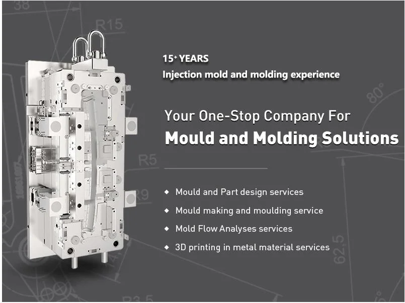 Professional Manufacturer Custom Plastic Parts Injection Mould Molding Making
