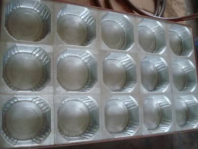 Donghang Customized Mould for Blister Machine
