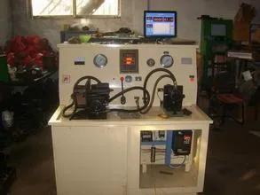 Auto Pump Casting