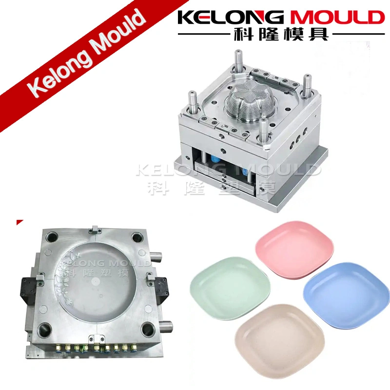 Plastic Fruit Plate Injection Mould with PP Material Household Mould