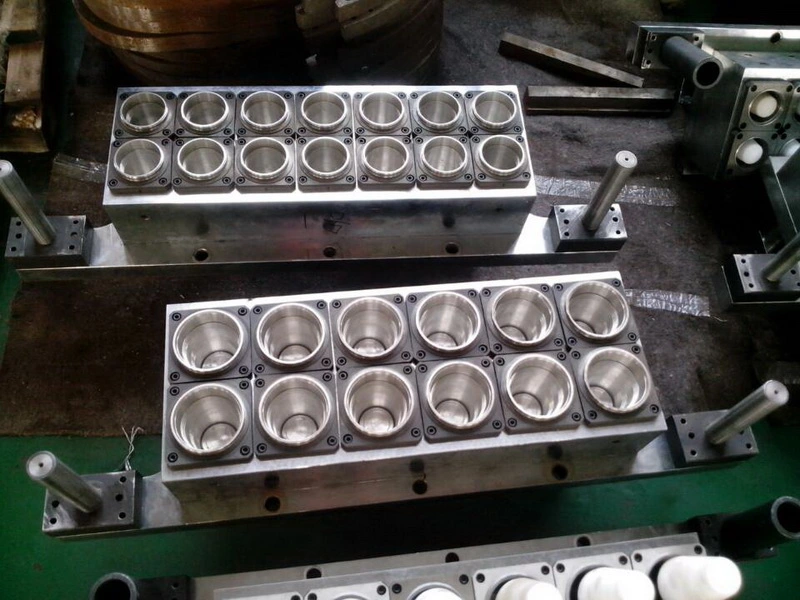 Plastic Thermoforming Mould