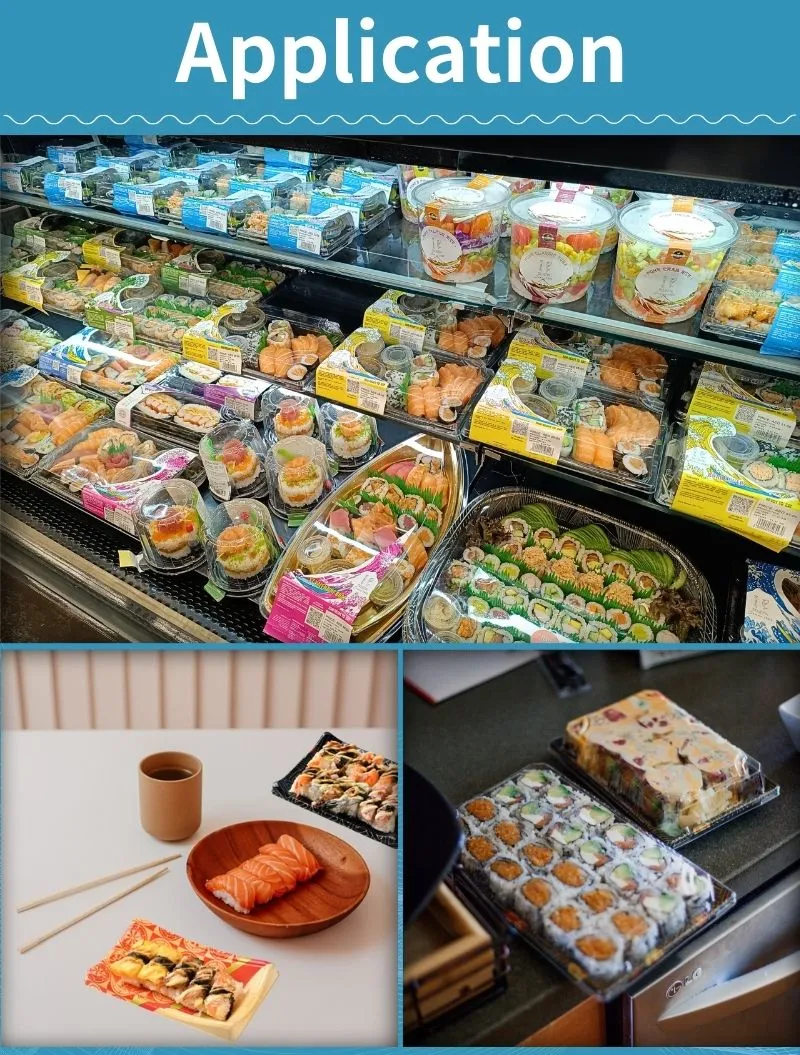 Wholesale Competitive Prices Disposable Plastic Food Grade Take out to Go Boat Shape Food Packaging Sushi Box