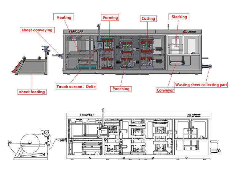 Fully Automatic Servo Drive System Thermoforming Machine and Molds Manufacturers for Biodegradable Container Packing Boxes