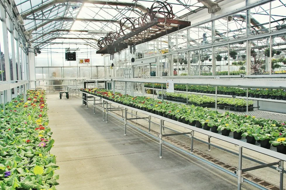 Glass Surrounded Greenhouse with PC Sheet Triple A-Shape Roof