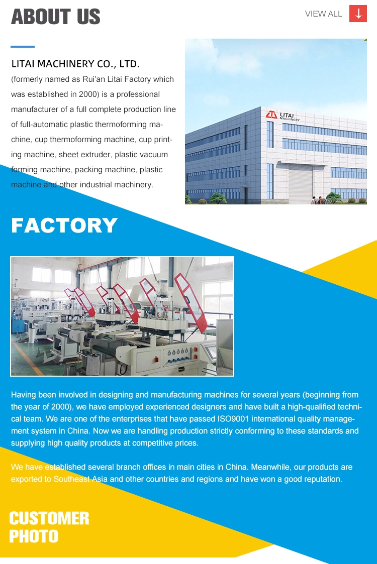 Litai New Upgrade Energy-Saving High Speed Transparent Cake Tray Automatic Making Production Line Machine Replaceable Mold