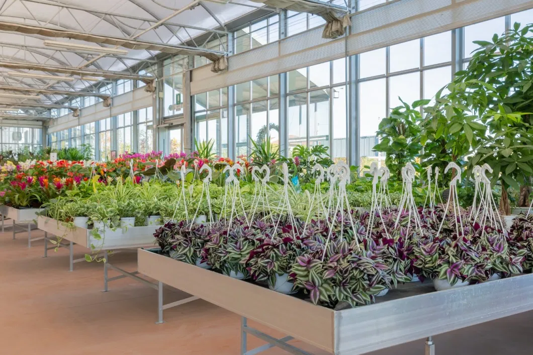 Glass Surrounded Greenhouse with PC Sheet Triple A-Shape Roof