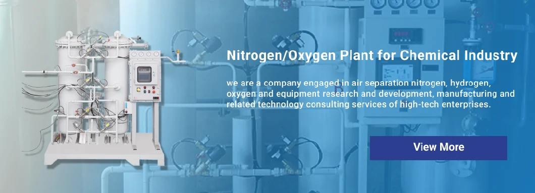 Air Separation Psa O2 Oxygen Plant for Burning Process