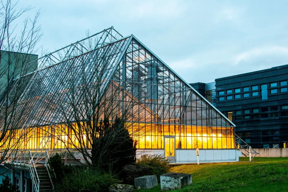 Glass Surrounded Greenhouse with PC Sheet Triple A-Shape Roof