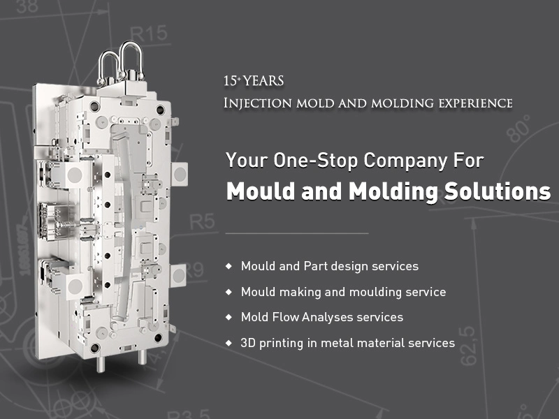 Precision Custom Die Tooling Manufacturer Rapid Quality Plasitc Parts Maker Making Cheap Mould Plastic Injection Molder