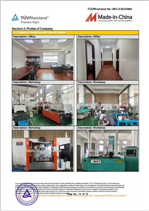 Automotive Plastic Products Production and Processing, Mold Production and Processing