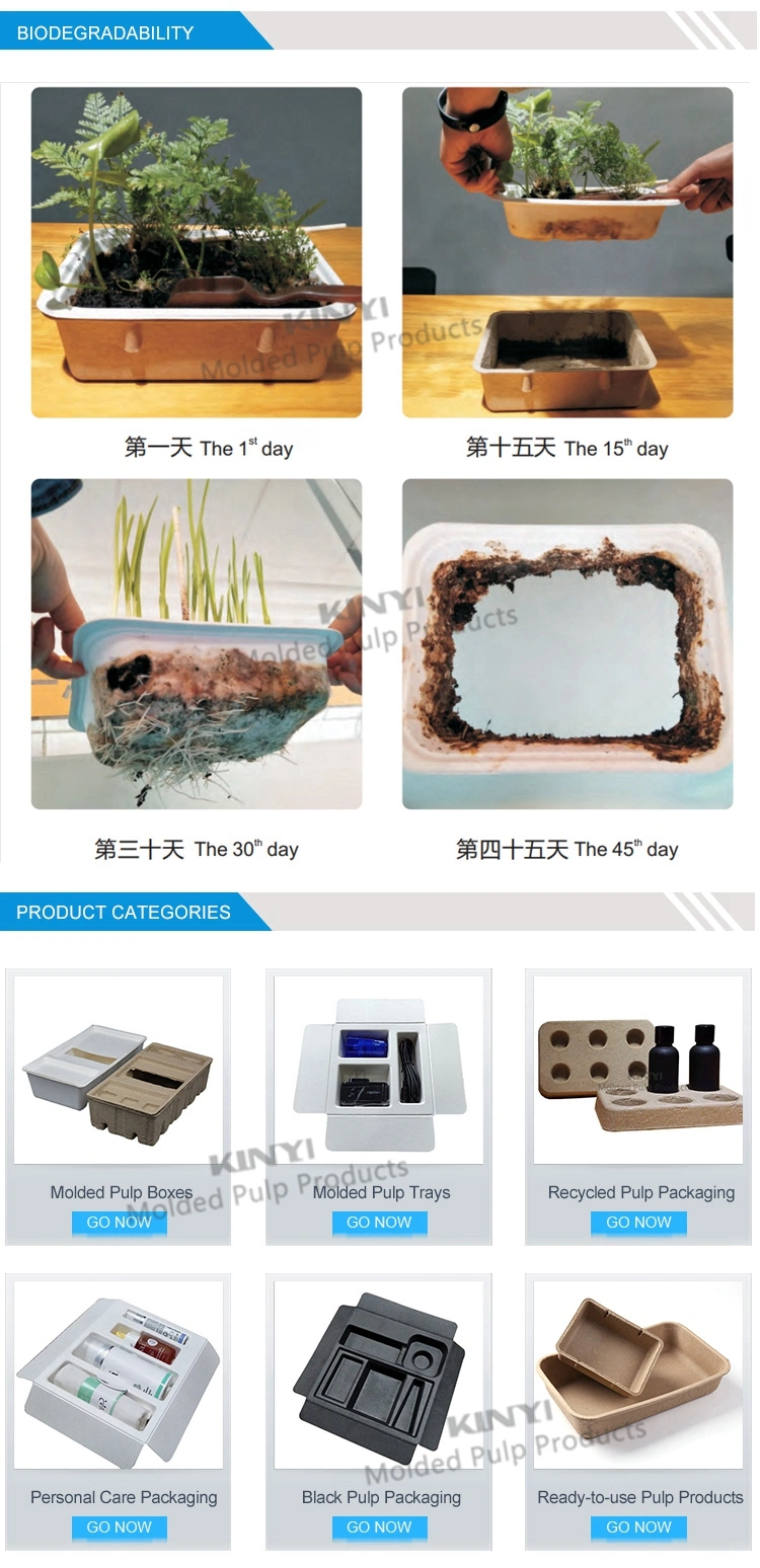 Biodegradable Compostable Eco Paper Mould Box Packaging Insert Tray