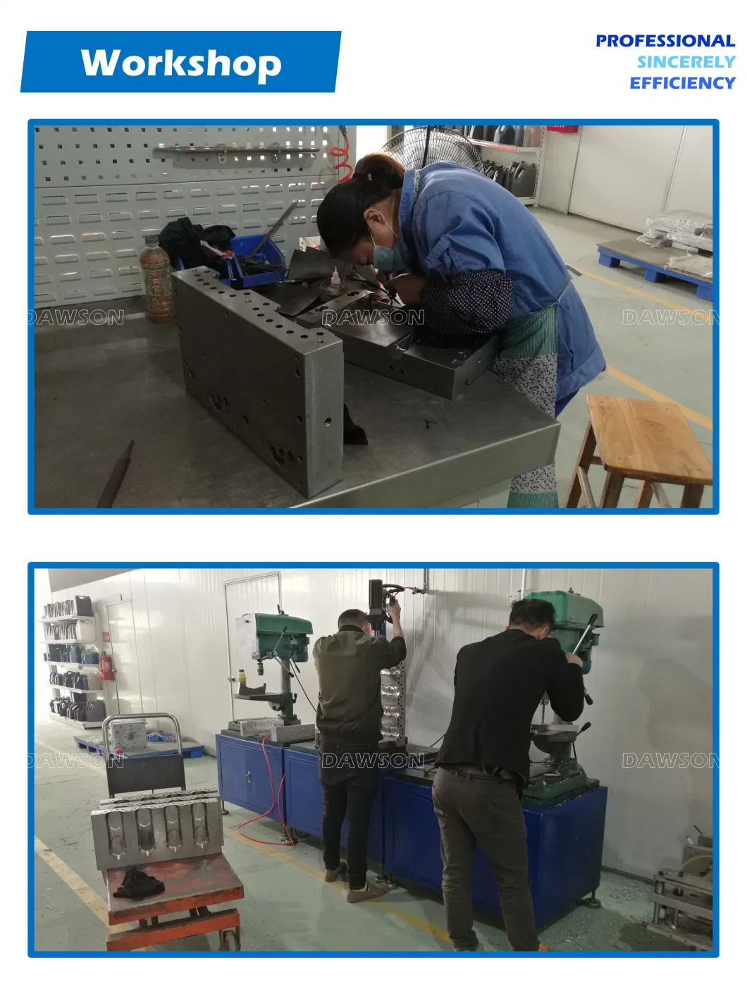 HDPE 5L Plastic Bottle Blowing Mould