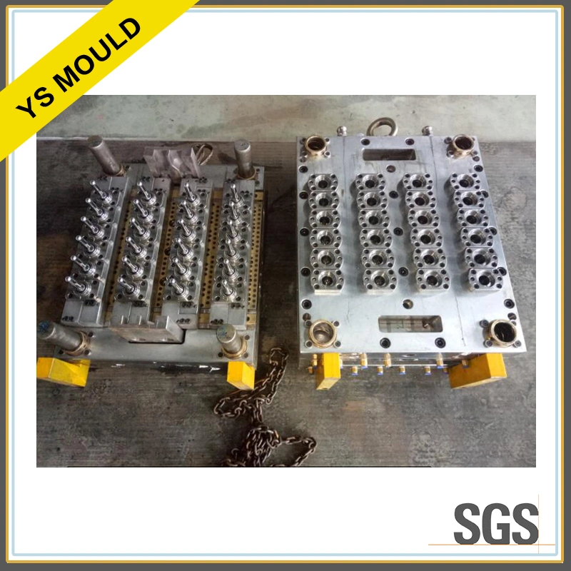 Plastic Injection Pet Preform Molding (YS147)