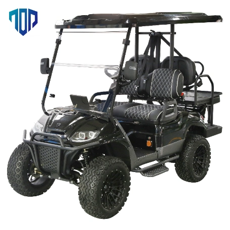 Backward Seat Electrical Cart for Tourist Area Golf Cart