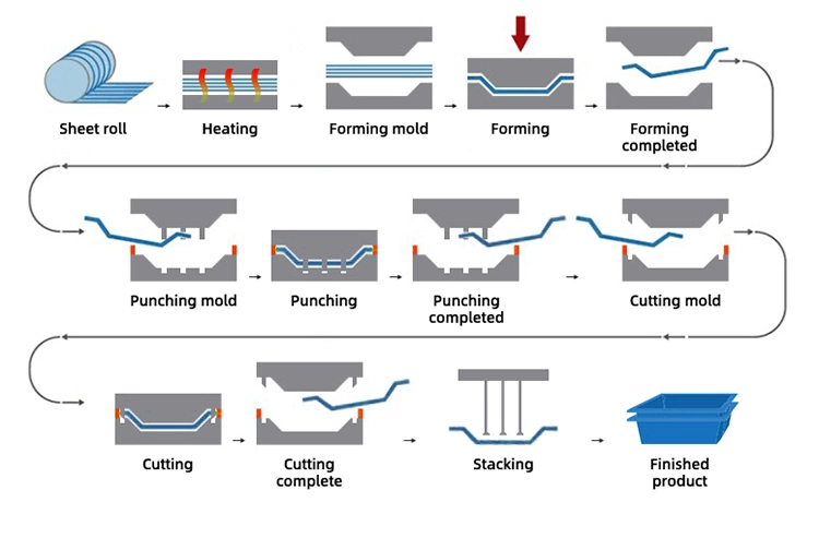 Fully Automatic Servo Drive System Thermoforming Machine and Molds Manufacturers for Biodegradable Container Packing Boxes