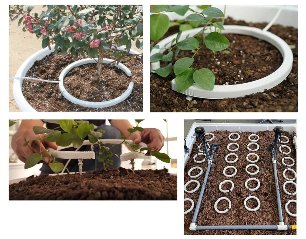 Agricultural Farm Innovative Plastic Multi-Drip Berries Irrigation Arch Injection Mould