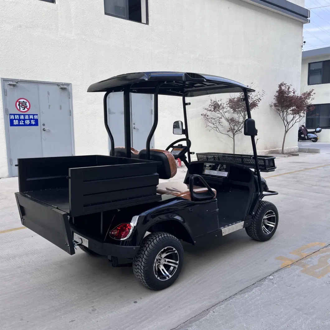 Mini Electric Golf Carts 2 Seater Cheap Farm Utility Lead-Acid 2 Seater Cargo Golf Cart