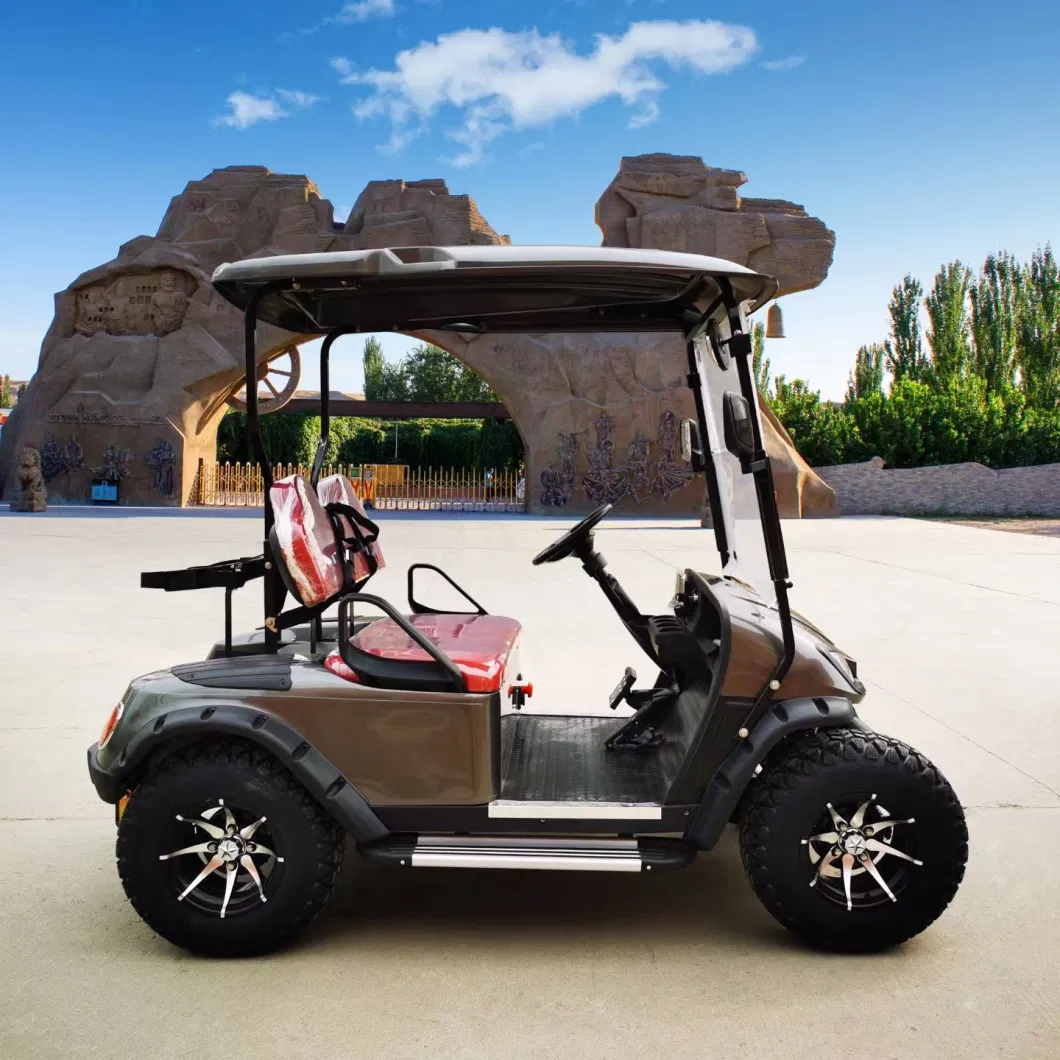 2 Seat 48V Lithium Battery Mini Small Electric Golf Cart