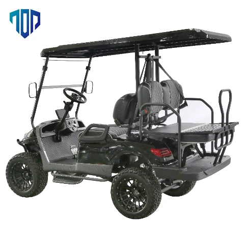 Backward Seat Electrical Cart for Tourist Area Golf Cart