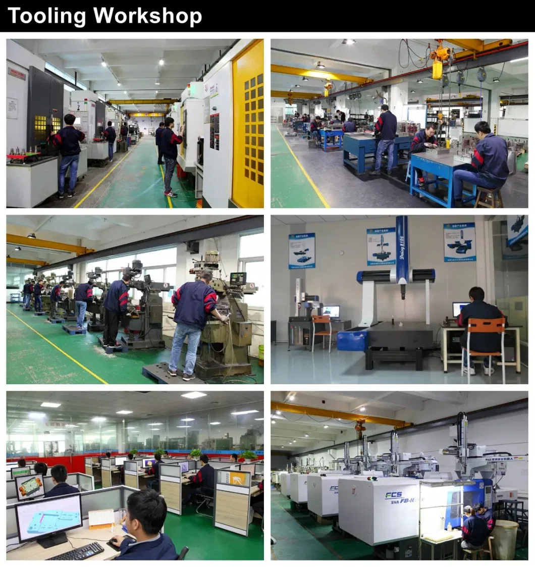 Mold Tool Maker Injection Compression Molding for O Ring Gaskets