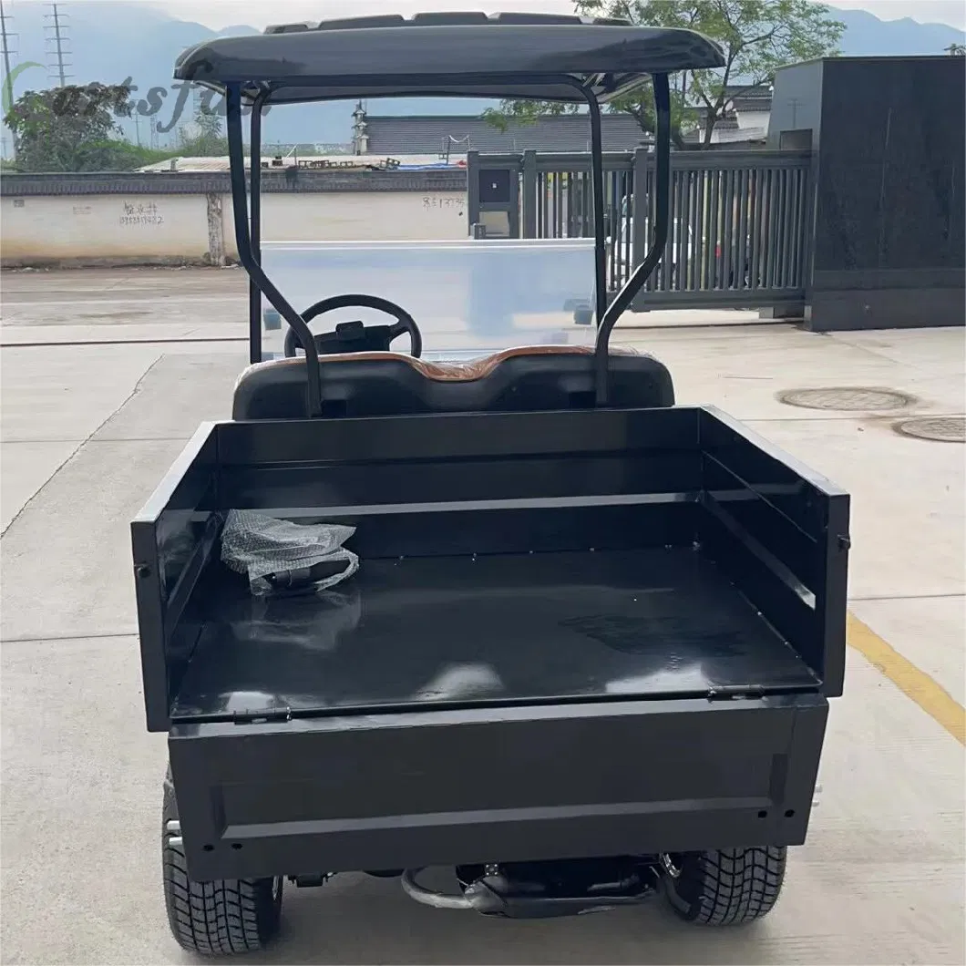 Mini Electric Golf Carts 2 Seater Cheap Farm Utility Lead-Acid 2 Seater Cargo Golf Cart
