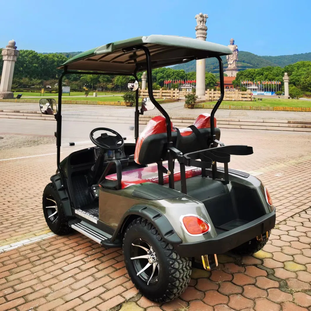 2 Seat 48V Lithium Battery Mini Small Electric Golf Cart