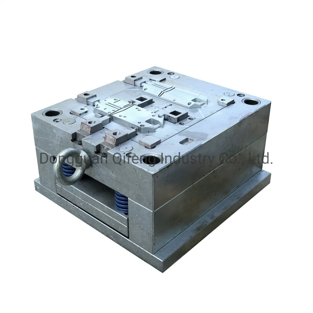 Plastic ABS/PC/PA66/POM/TPU/PP/PVC/Pet/HDPE/as Injection Moulding Hot/Cold Runner Double Injection Mold Insert Moulding Ceramic Injection Molding