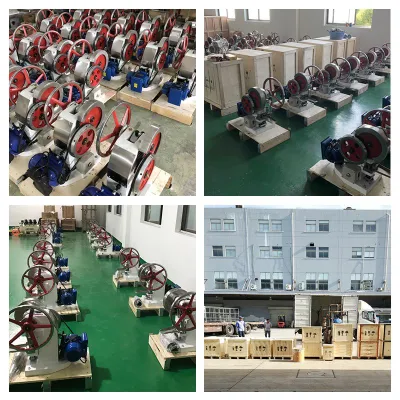 Single Punch Die for Round Machine Mould Die Tablet Press