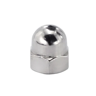 Hexagonal DIN Customized Logo Packing Size Hexagon Nylon Cap Nut