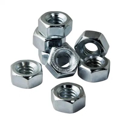 Customized Packing Hexagon Head Logo Size Spare Parts Nut DIN6923