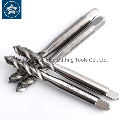 Hsse-M35 Spiral Fluted Taps M1 M1.2 M1.4 M1.5 M1.6 M1.7 M1.8 M2 M2.2 M2.5 M2.6 M3 M4 M5 M5.5 M6 M7 M8 M9 M10 M11 M12 Metric Screw Thread Tap