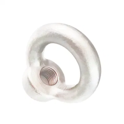 OEM Customized Hot Die Forging Alloy Steel Rigging Hardware Accessories Lifting Eye Nut