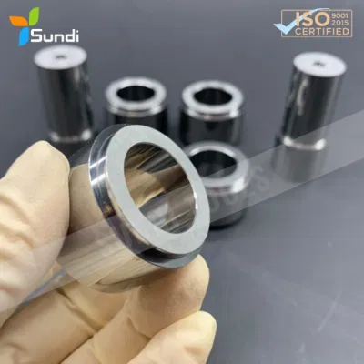 Precision Special Shapes Ceratizit Kenna Small Round Polish Mirror Solid Tungsten Carbide Stamping Die