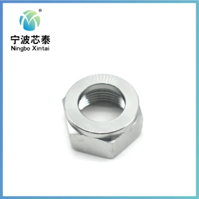 Good Quality 304 Stainless Steel Antirust Full Size Different Types Hexagons Hex Nut