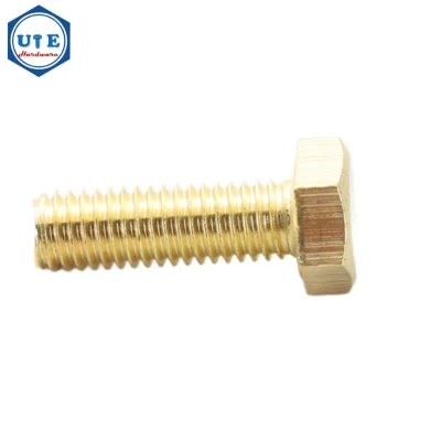 Brass Hexagon Bolt of Set Accessories with Hexagon Screw Nut