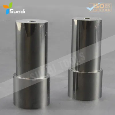 Precision Special Shapes Ceratizit Kenna Small Round Polish Mirror Solid Tungsten Carbide Stamping Die