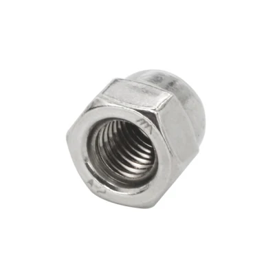 Hexagonal DIN Customized Logo Packing Size Hexagon Nylon Cap Nut