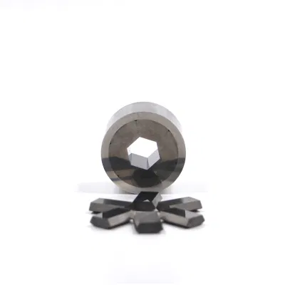 High Precision Polishing Cold Heading/Segmented Hex Die