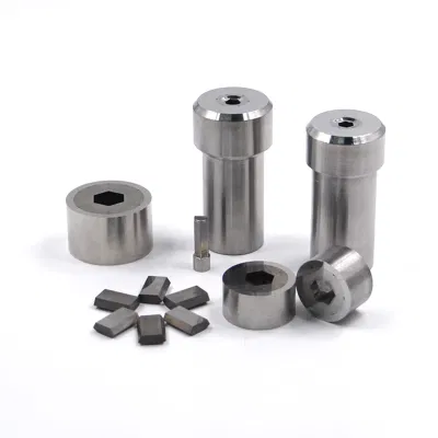 High Precision Polishing Cold Heading/Segmented Hex Die