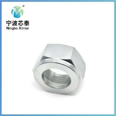 Good Quality 304 Stainless Steel Antirust Full Size Different Types Hexagons Hex Nut