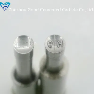 High Precious 3D Round Shape K9 Pattern Punch Dies Candy Press Sugar Press Die Mold Set for Tdp0/ Tdp 1.5 or Tdp5 Molds Machine Moulds Stamp Dies