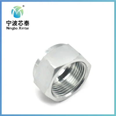 Good Quality 304 Stainless Steel Antirust Full Size Different Types Hexagons Hex Nut