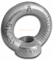 Customized Hot Die Forging Hardware Parts/ Rigging Nut