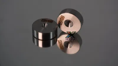 Tungsten Carbide Diamond Split Wire Drawing Dies for Wire Drawing Machine