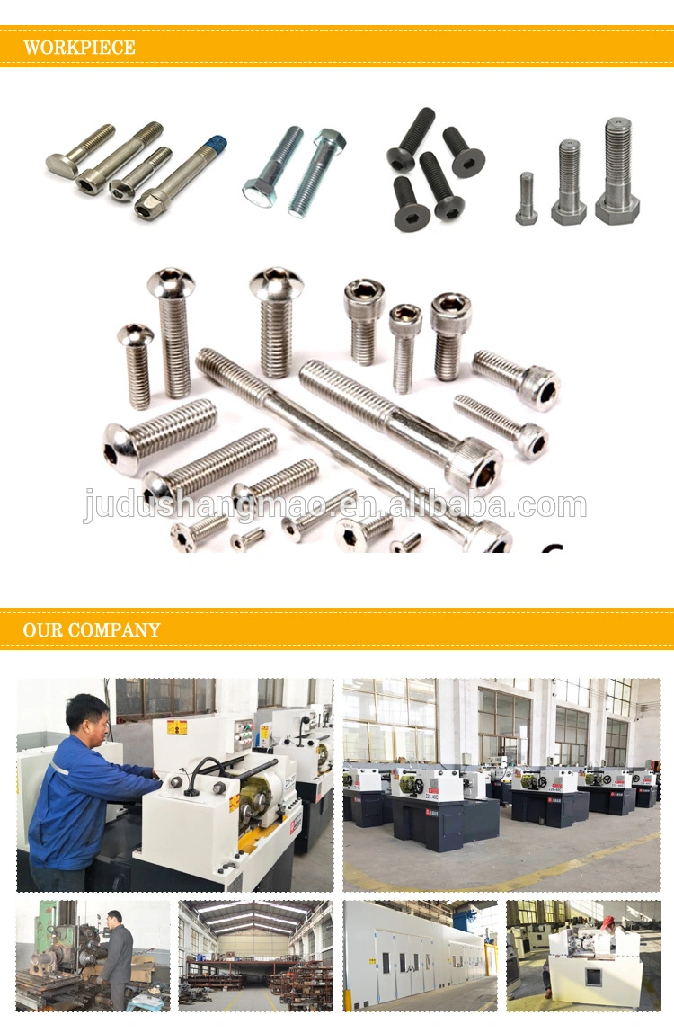 Automatic Two Round Dies Thread Rolling Machine/Screw Bolt Making Machine