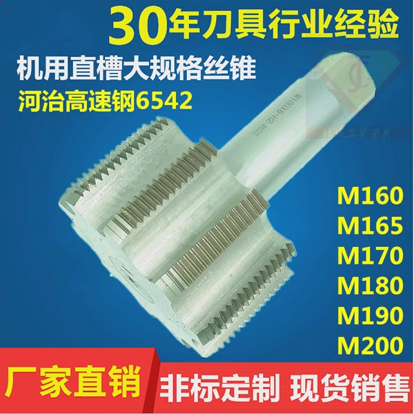 Customized Ultra Large Size High Speed Steel M100*4 Threading Tap