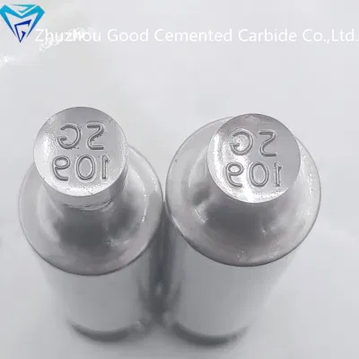  3D forma redonda Sg109 patrón Tablet Press Die Candy Pill Molde de prensa ZP molde de máquina de la Candy troquel para TDP Máquina y Zp12/Zp7/Zp9/Zp10/Zp5 máquina