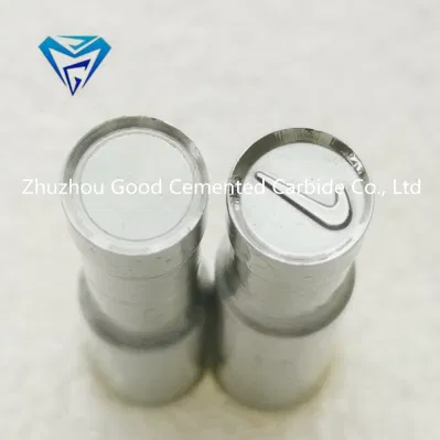  en Stock Tdp5 Tdp0 Tdp1.5 Tdp-6 Molde de Prensa 3D para Tabletas de Leche Molde de Golpeo de Caramelos Personalizado Molde de Prensa de Pastillas con Logotipo Molde de Prensa de Calcio para Pastillas Redondas de 4mm 12mm 6mm Nike